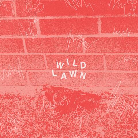 Wild Lawn