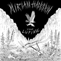 The Lupine