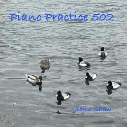 Piano Practice 502