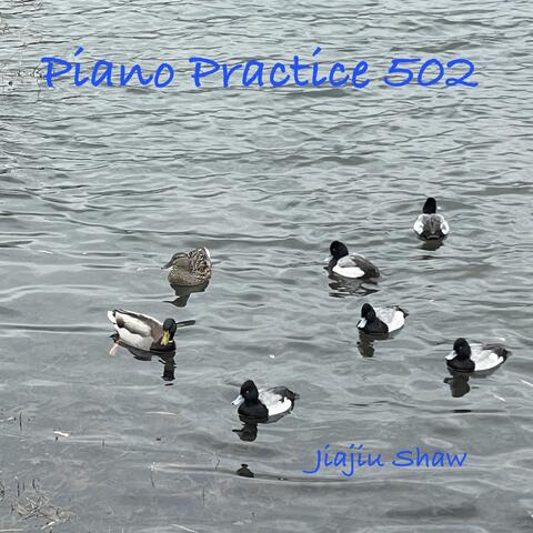 Piano Practice 502