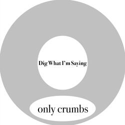 Dig What I'm Saying