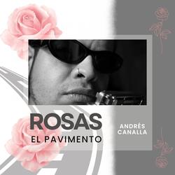 Rosas El Pavimento