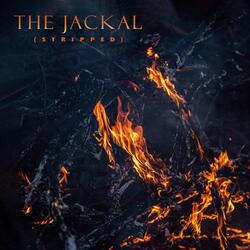 The Jackal (Stripped) [JBG Version] [feat. Jul Big Green]