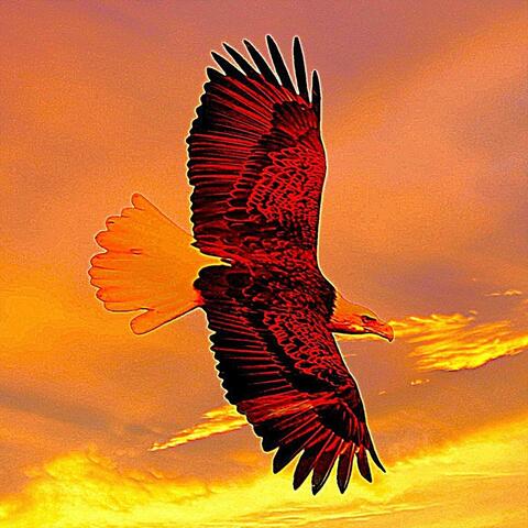 Eagle Tales: Fantasy Music for Medieval Lute, Celtic Violin and Gothic Flute