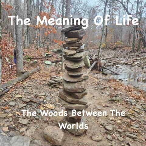 The Meaning Of Life