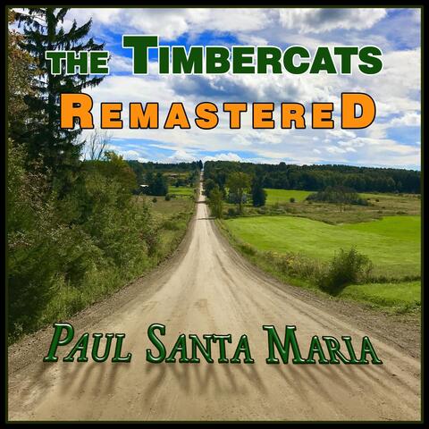 The Timbercats Remastered