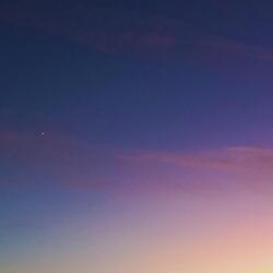 Starlight and Occasional Melody