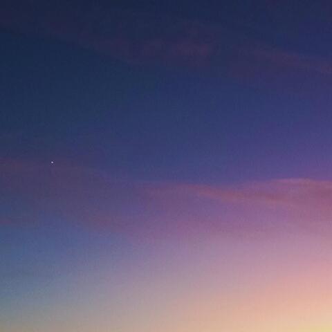 Starlight and Occasional Melody