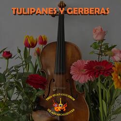Tulipanes Y Gerberas