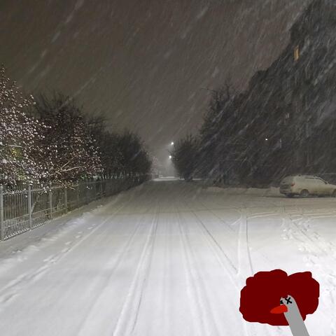 Goose That Killed Himself