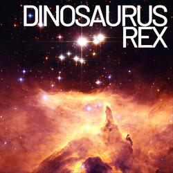 Skeleton Beneath the Stone