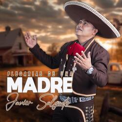 Plegarias De Una Madre