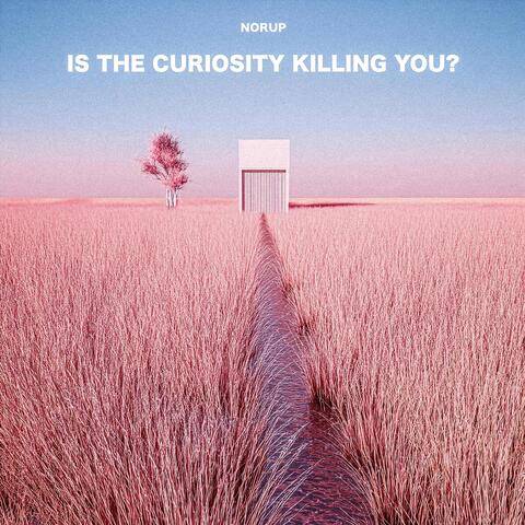 IS THE CURIOSITY KILLING YOU?