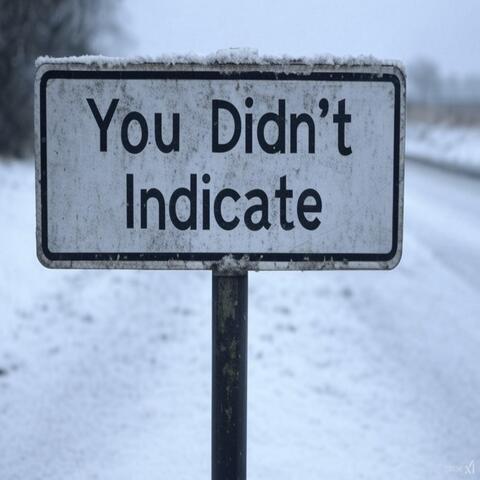 You Didn't Indicate