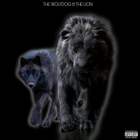 The Wolfdog and The Lion