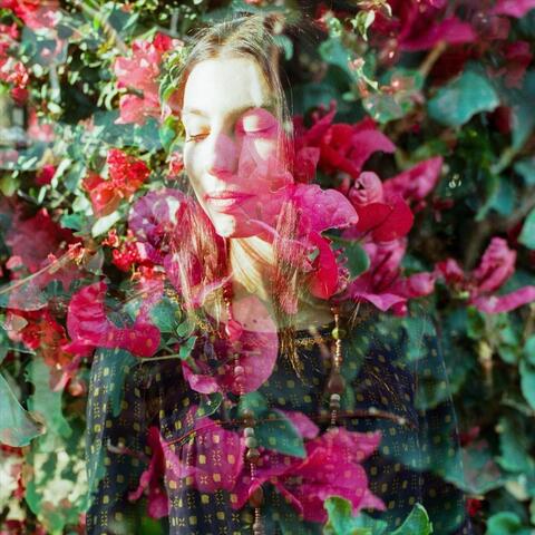 Bloom