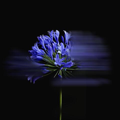 Prelude BWV846