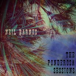 Clarksdale (feat. Mighty Mike Schermer)