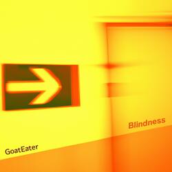 Blindness