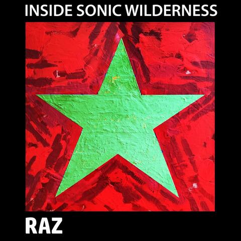 Inside Sonic Wilderness