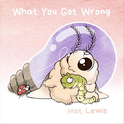 What You Got Wrong