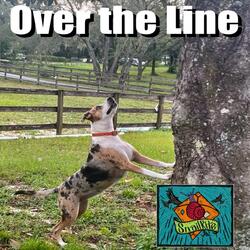 Over the Line