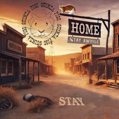 Stay