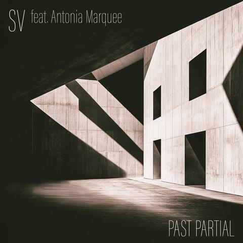 Past Partial