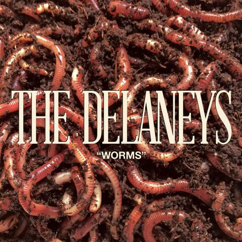 Worms
