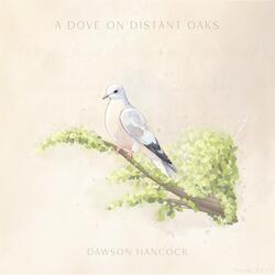 A Dove on Distant Oaks