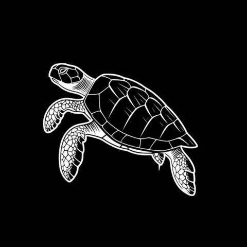 Turtle Shell (feat. Al Walker)