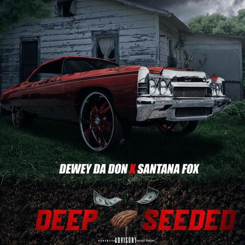 Deep Seeded