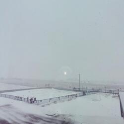 Allow It to Fall off of You