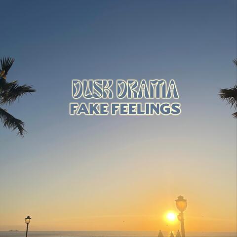 Fake Feelings