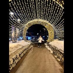 Love the Lord Your God - Matthew 22:37-39