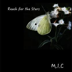 Reach for the Stars