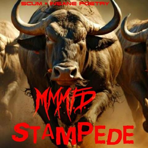 Stampede