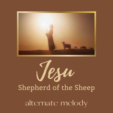Jesu Shepherd of the Sheep