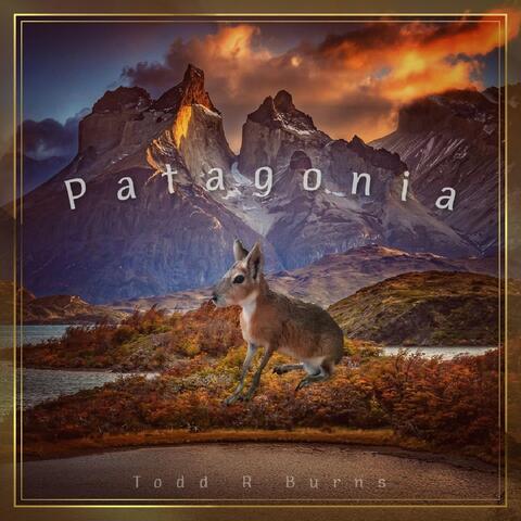 Patagonia