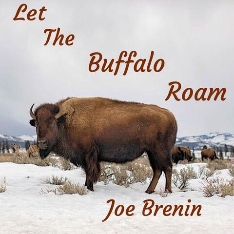 Let the Buffalo Roam