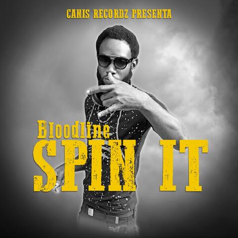 Spin It
