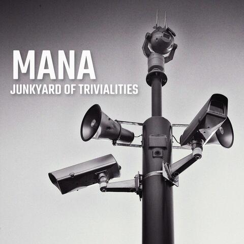 Junkyard of Trivialities