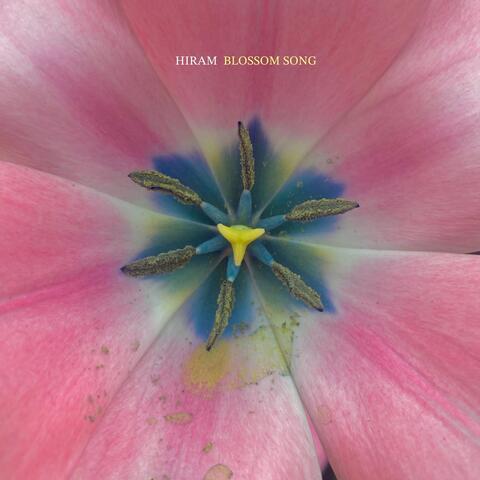 Blossom Song