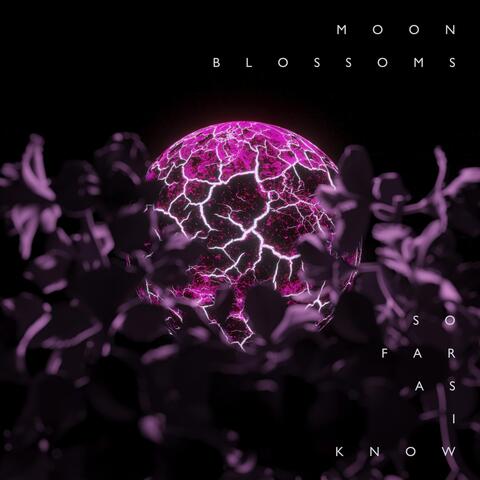 Moon Blossoms
