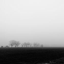 Late Winter's Song