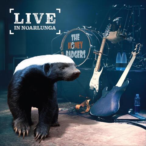Live in Noarlunga