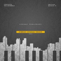 Rumbidzo (Extended Version) [feat. Manuchie & Patriq Noble]