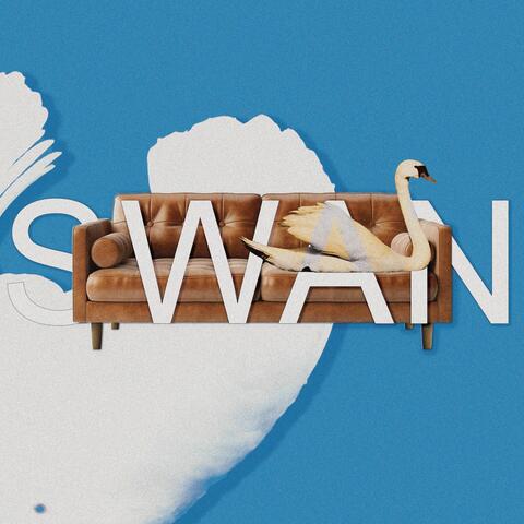 Swan