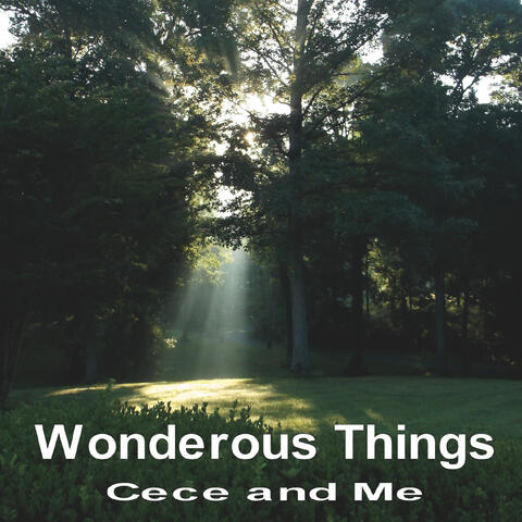 Wonderous Things