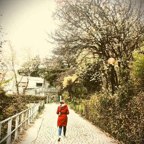 i should’ve never let you go